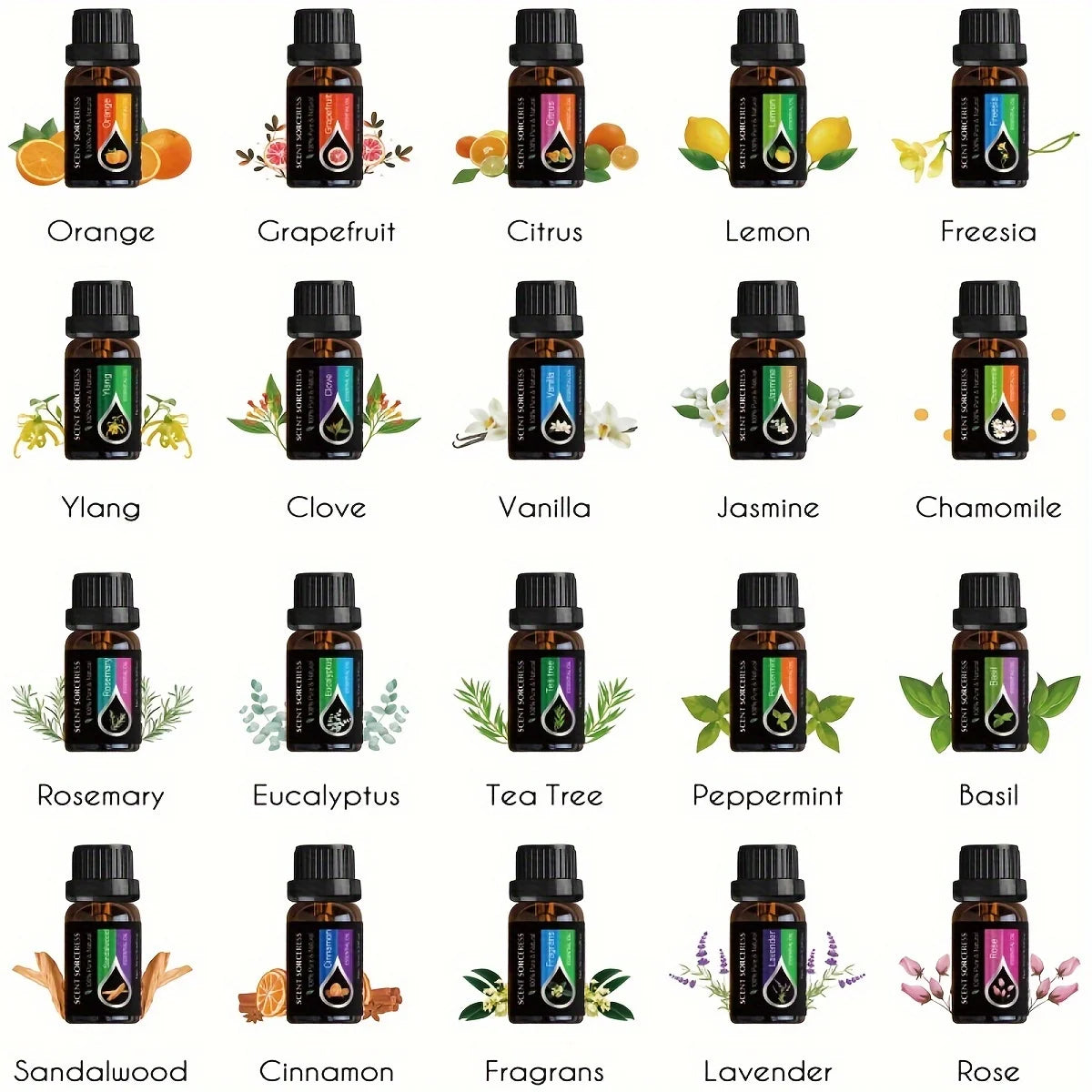 Scent Sorceress Lavender Eucalyptus Sweet Orange And Lemon Essential Oils
